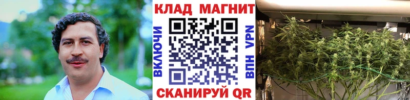 Купить закладку КОКАИН  А ПВП  Меф  ГАШИШ  Бошки Шишки  Нефтегорск