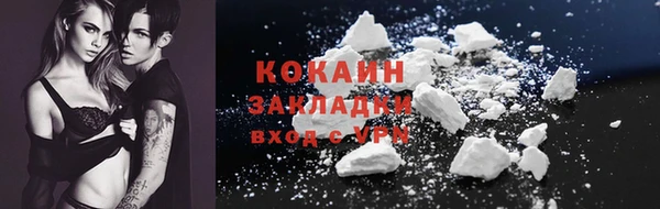 стаф Ельня