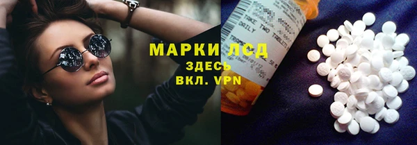 стаф Ельня