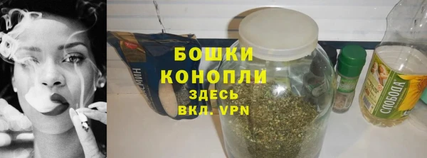 стаф Ельня