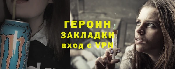 стаф Ельня