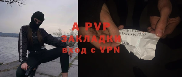 стаф Ельня
