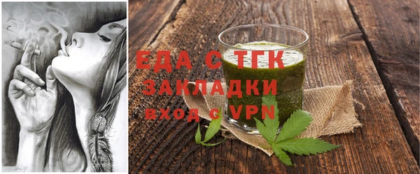 стаф Ельня