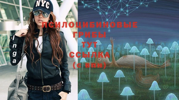 бутират Елабуга