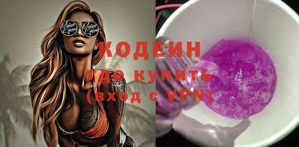 стаф Ельня
