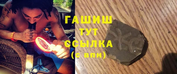 стаф Ельня