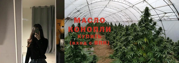 стаф Ельня