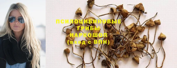 бутират Елабуга