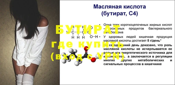стаф Ельня