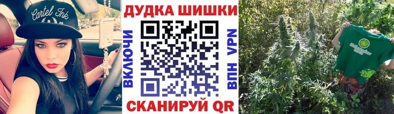 Купить где  Нефтегорск  Бошки Шишки гибрид 